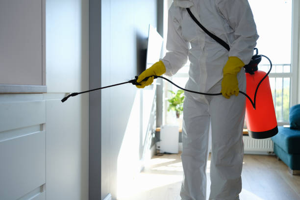 Mold Testing and Removal in Hartford, SD
