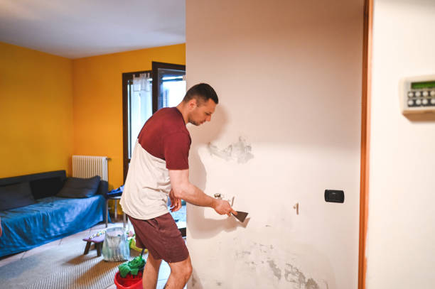 Best Office Mold Removal Services  in Hartford, SD