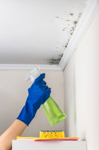 Best Emergency Mold Removal  in Hartford, SD